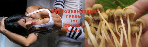 метамфетамин Бородино