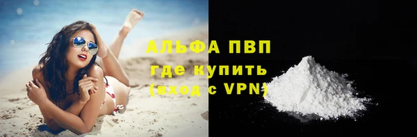 винт Верея