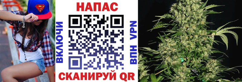 Шишки марихуана марихуана  Тверь 